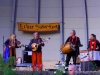 elster-silberflug