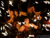 feuershow-2014